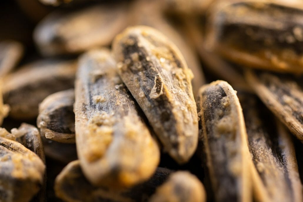 How Do Sunflower Seeds Grow?