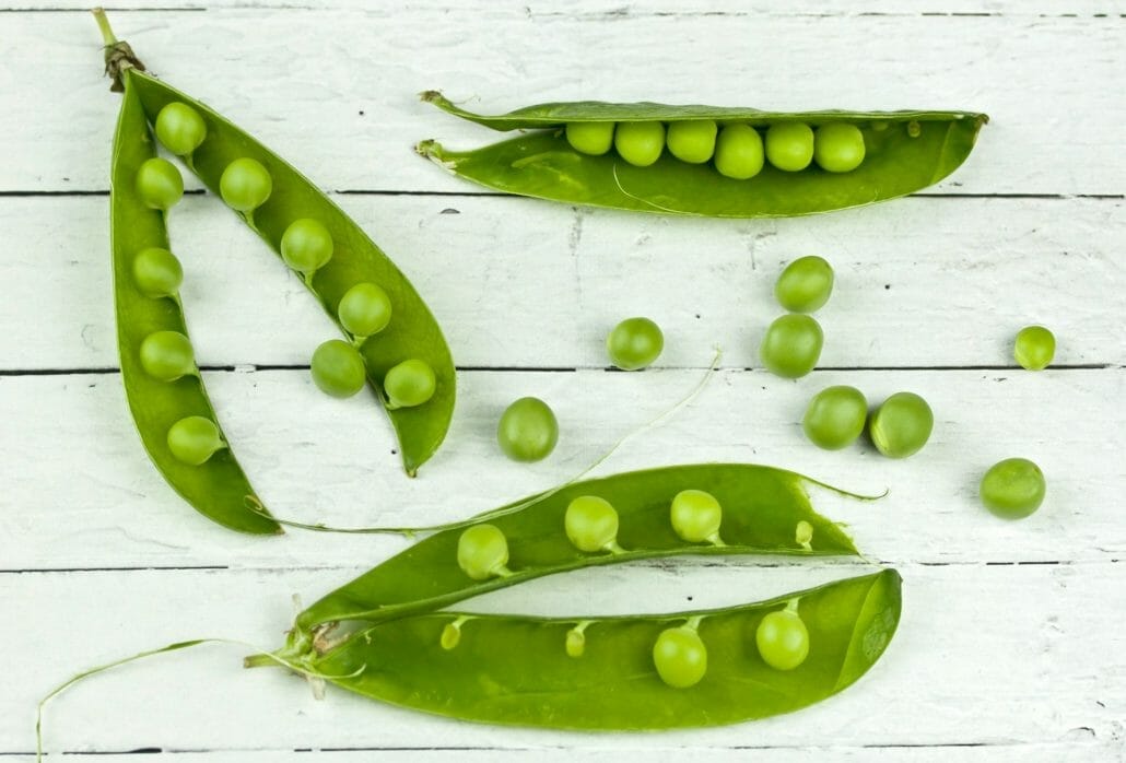 Can you eat seeds on a ketogenic diet?