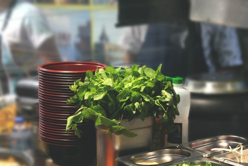 How to Grow Mint: Step By Step Guide
