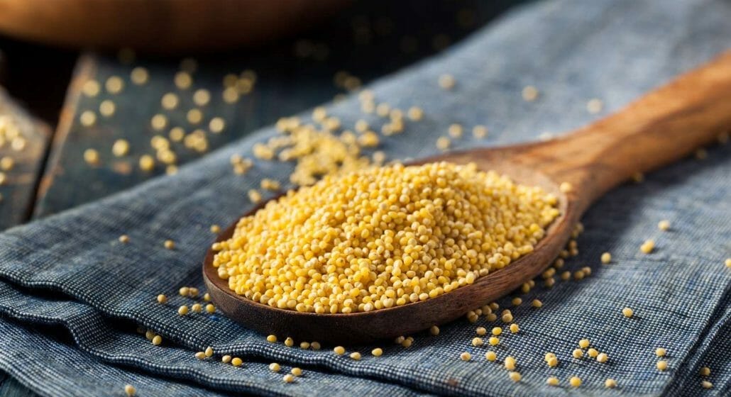 What Are Millets?
