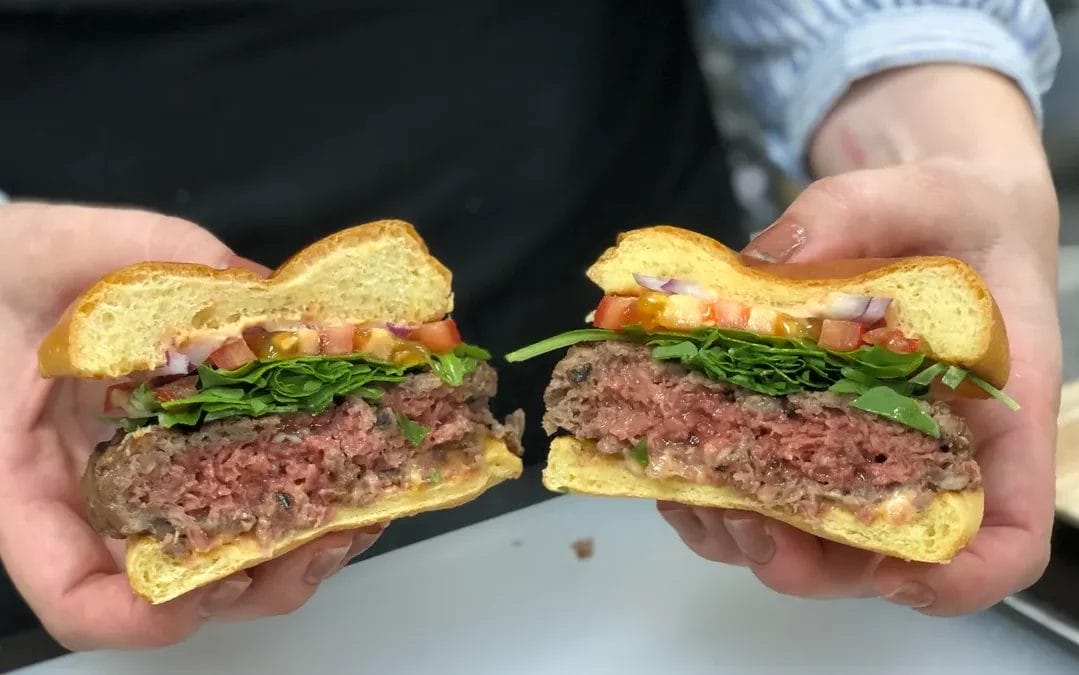 Is The Impossible Burger Vegan?